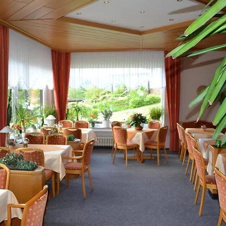 Seehotel Andree & Gaestehaus Seehof Waldeck (Hessen)