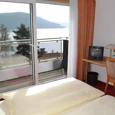 酒店 Seehotel Andree & Gaestehaus Seehof 瓦尔德克