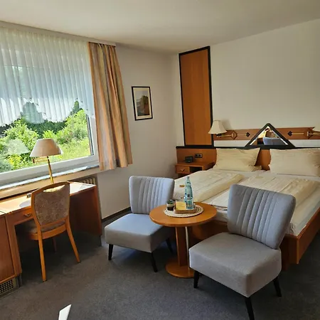 酒店 Seehotel Andree & Gaestehaus Seehof 瓦尔德克