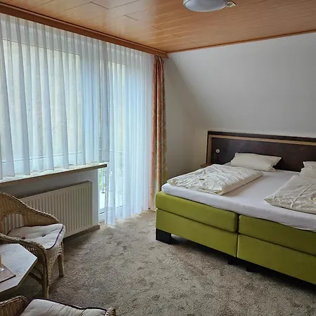 酒店 Seehotel Andree & Gaestehaus Seehof 瓦尔德克