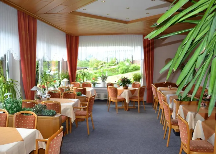 Seehotel Andree & Gaestehaus Seehof Waldeck (Hessen)